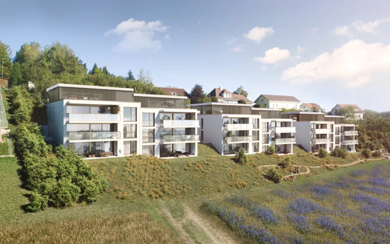 Visualisierung des Wohnprojekts Alpenblick in Niederwangen